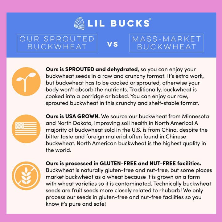 Lil Bucks - Wholesale Granola - Clusterbucks Gut Friendly Granola - Chocolate Sea Salt- 6pk