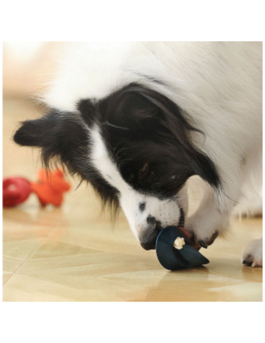 Only An Ocean Europe - Wholesale Pet Chew Toy - Dog - PetDreamHouse ChewtasticGeo-Toys & Geo-Gentle11