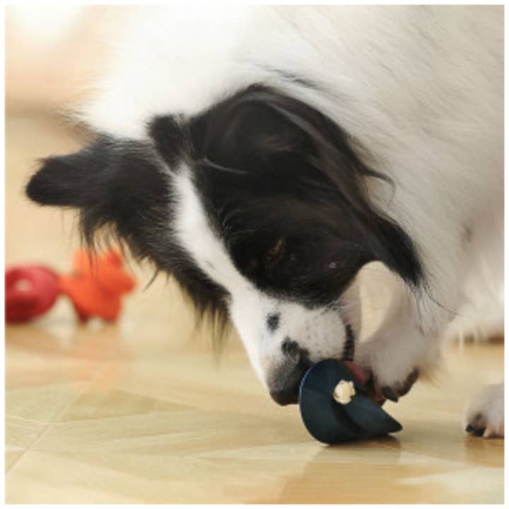 Only An Ocean Europe - Wholesale Pet Chew Toy - Dog - PetDreamHouse ChewtasticGeo-Toys & Geo-Gentle11