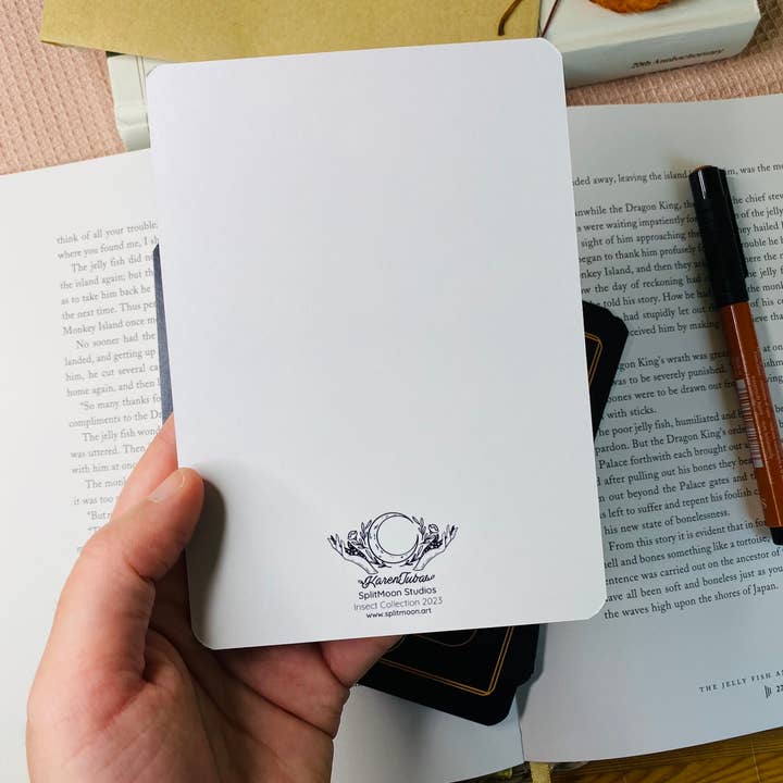 Split Moon Studios - Wholesale Art Print - A Set of Insect Art Prints - A6 Post Card Size - Artprint25