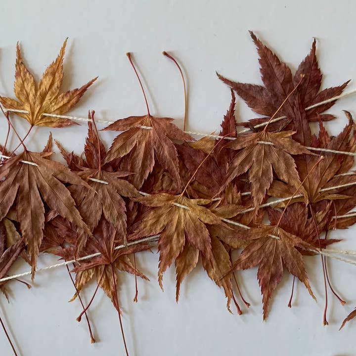 Twig and Snip - Wholesale Bunting/Garland - Dried Mini Japanese Maple Leaf Garland - Reds and Browns6