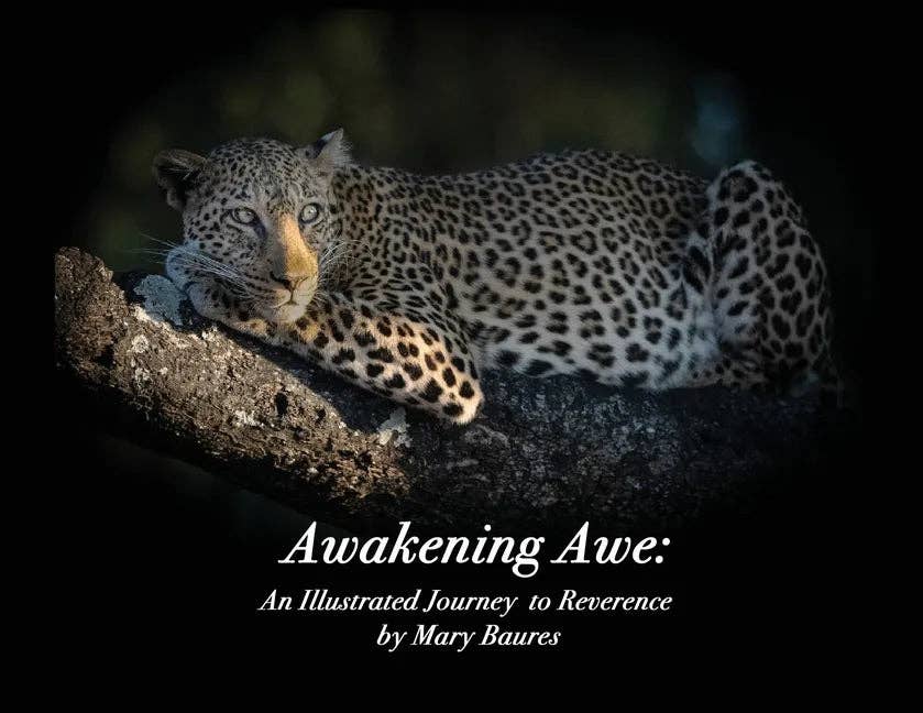 Books by splitShops - Wholesale Nature & Outdoors - Awakening Awe: An Illustrated Journey to Reverence - Paperback0