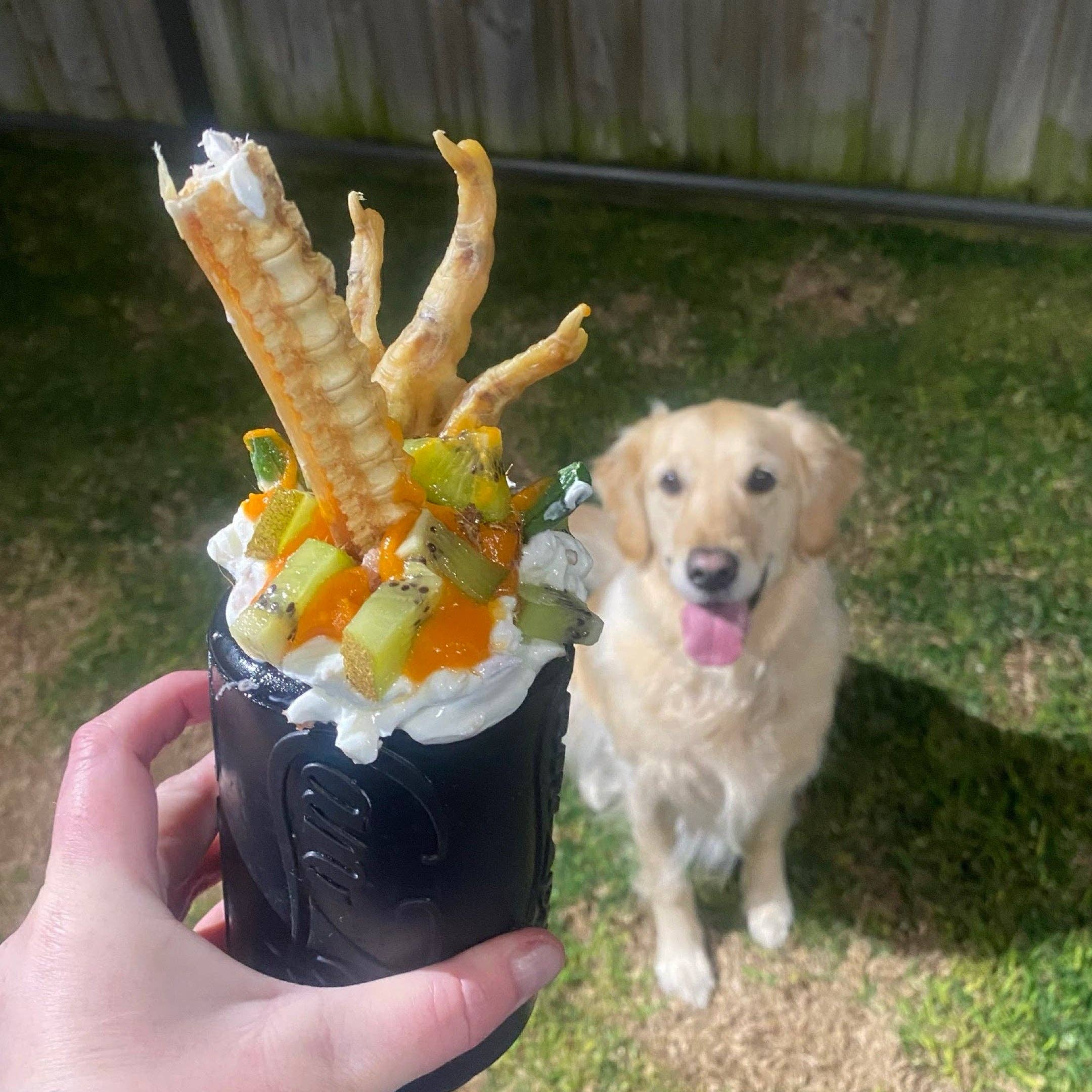 Rover Pet Products - Vendita all'ingrosso Giocattolo da masticare - Cani - Giocattolo Magnum Can (Power Chewers)2