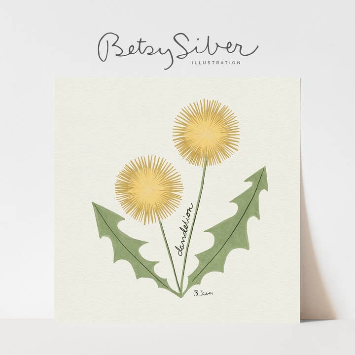 Dandelion Art Print for wholesale by Betsy Siber, Illustration