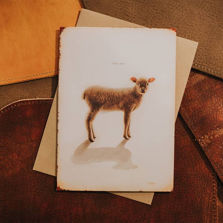 David Arms - Wholesale Everyday Greeting Card - “Fear Not” (Lamb) Notecards1