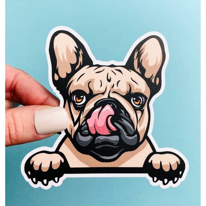 Peeking French Bulldog Sticker 4” x 4” Brown Peeking Bulldog for wholesale by Otto's Grotto