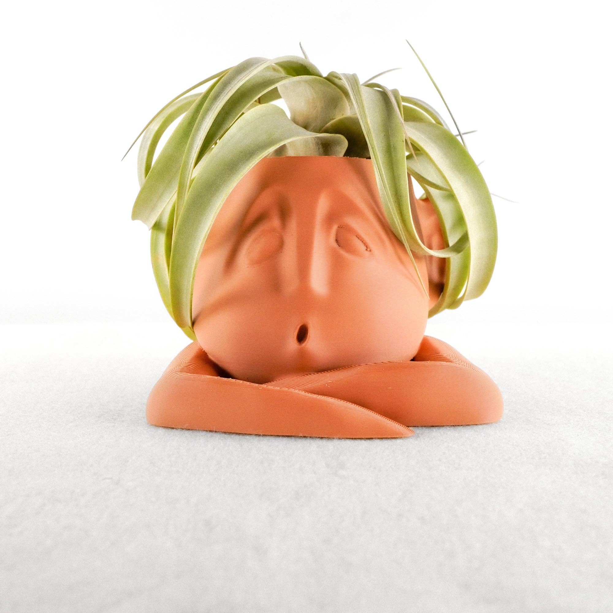 Rosebud Homegoods - Wholesale Plant Pot - Shady Air Head Planter6