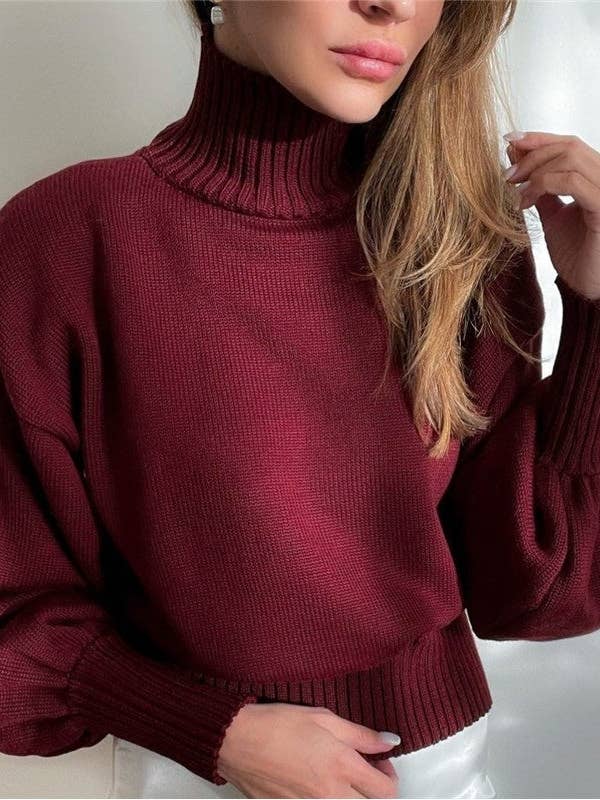 Stylish Casual Sweater With Solid Color Bubble Sleeve and other Purchase Wholesale bubble hem. Free Returns & Net 60 Terms on Faire trending on Faire.
