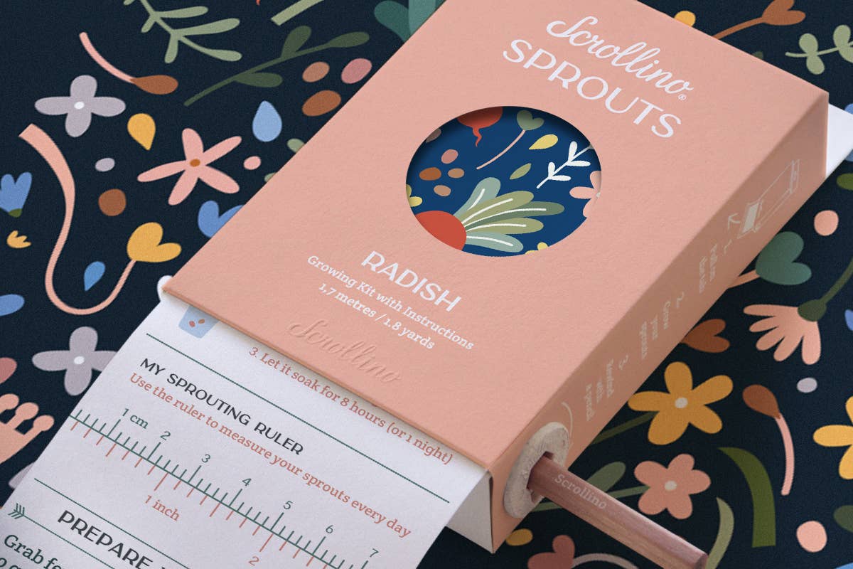 Scrollino - Wholesale DIY Craft Kit - Kids - Original Activity & Growing Kit - Scrollino Radish Sprouts3