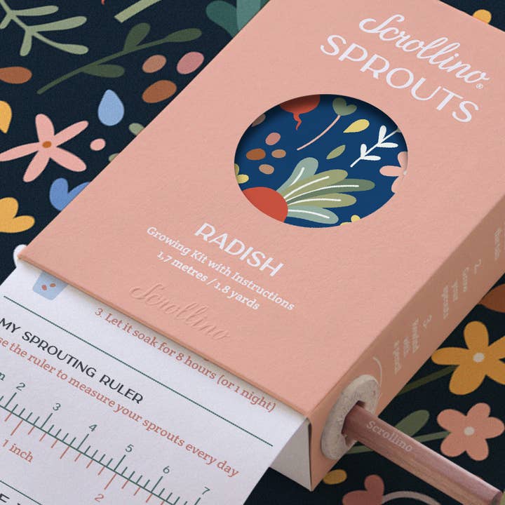 Scrollino - Wholesale DIY Craft Kit - Kids - Original Activity & Growing Kit - Scrollino Radish Sprouts3