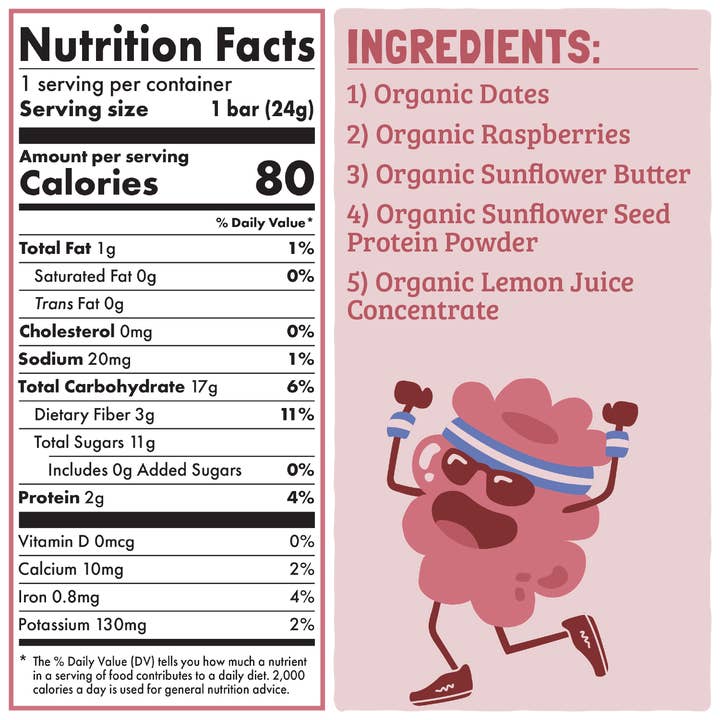 Skout Organic - Wholesale Snack Bar - Skout Organic Raspberry Rush Kids Snack Bar | Nut-Free