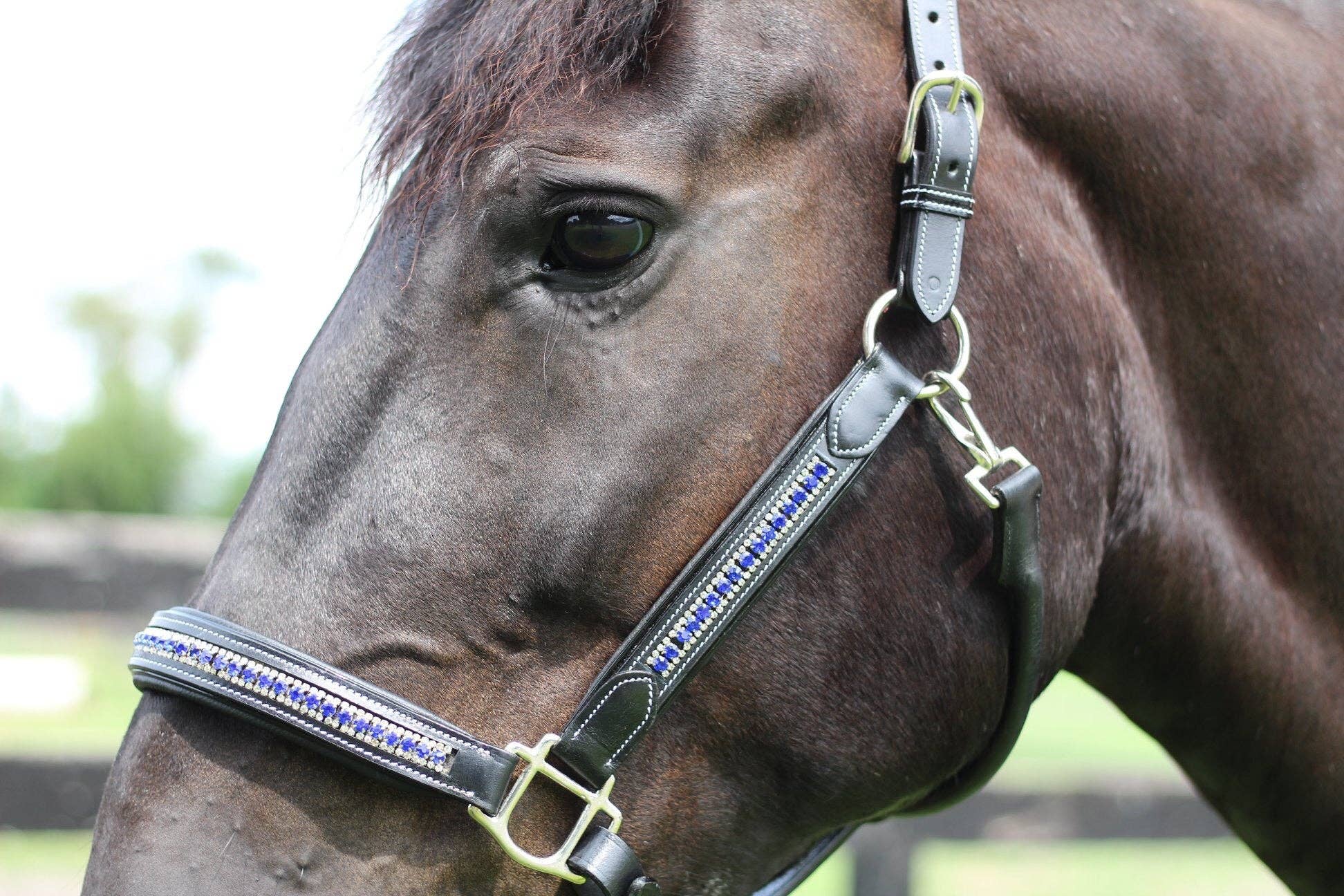 JPC Equestrian - Wholesale Horseback Riding Gear - Henri de Rivel Padded Jewel Halter - Horseback Riding Gear7