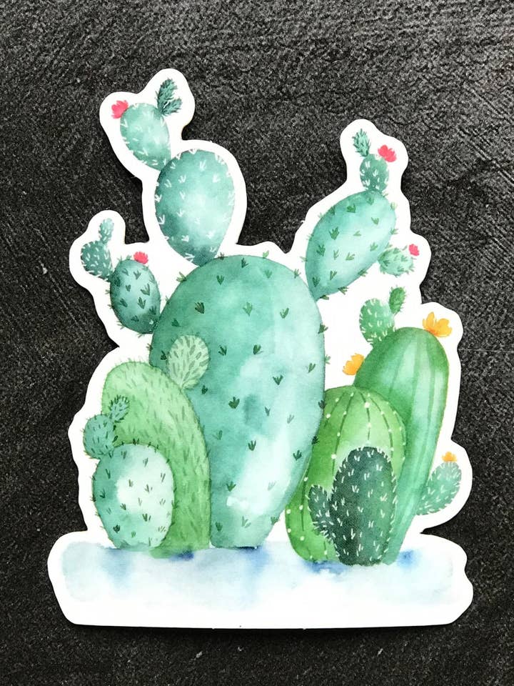 Kaktusklistermärke - Transparent klistermärke - Vinyl klistermärke för wholesale av Designbyting