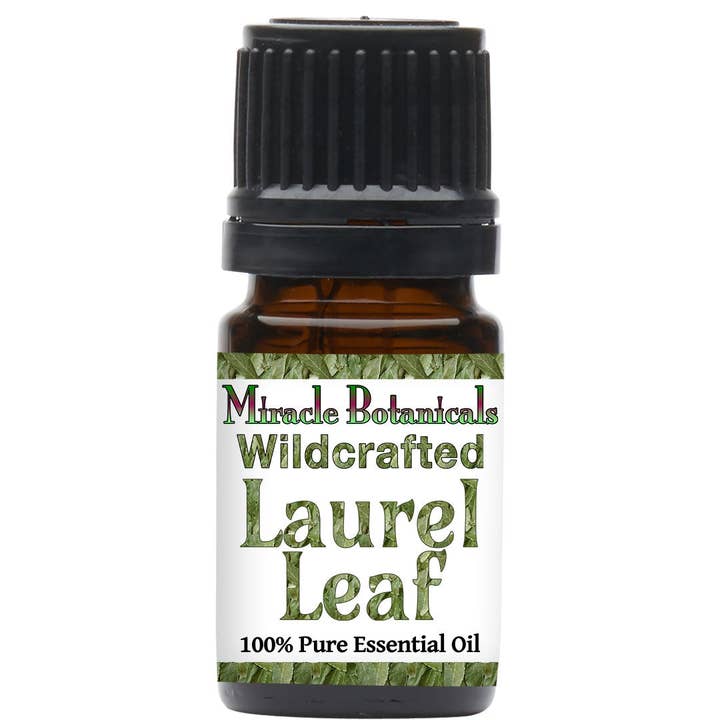 Laurel Leaf eterisk olja - Wildcrafted för wholesale av Miracle Botanicals