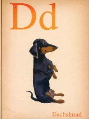 Chiens de A à Z : teckel, carte flash, aimant artistique pour chien pour la vente par Brian Rubenacker studios