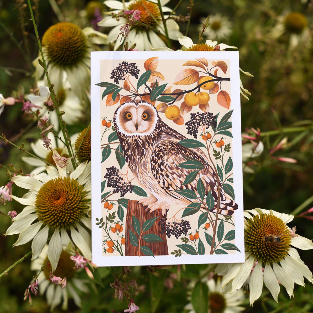 Printer Johnson Ltd – wholesale Everyday greeting card – Autumn Owl | Everyday greetings card | Autumn, nature2