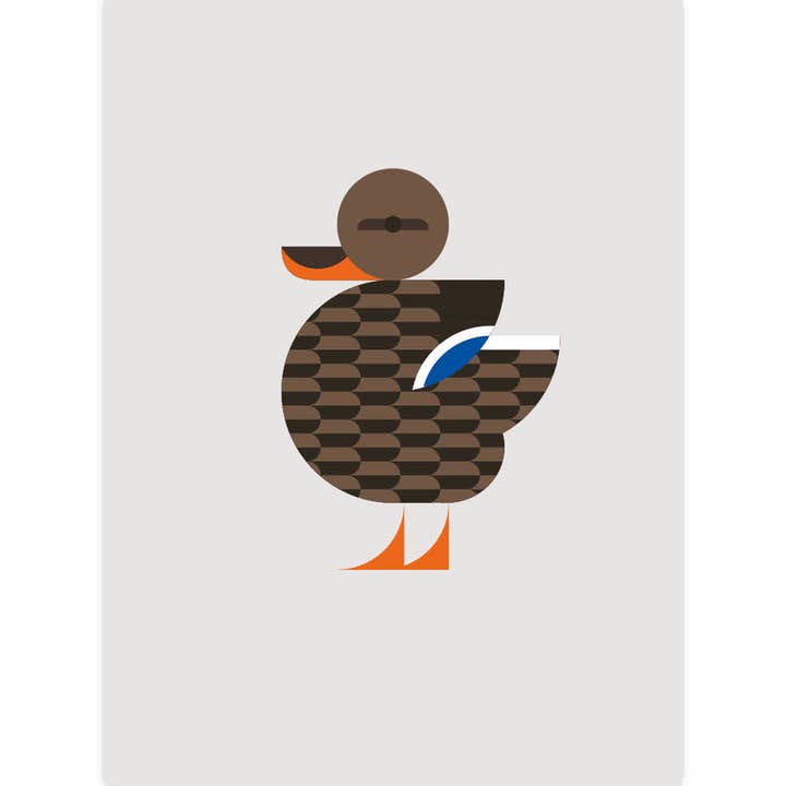 Eendje - Wholesale Everyday Greeting Card - Postcard with Mallard - The Female