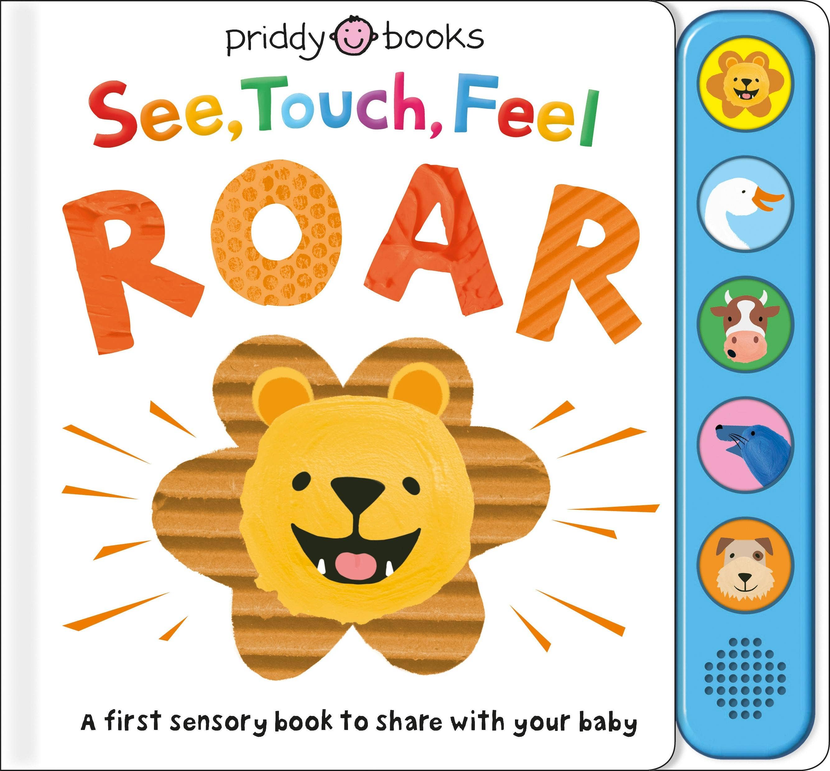 Macmillan Publishers - Wholesale Baby & Toddler Book (0-2) - See, Touch, Feel: Roar: A First Sensory Book0