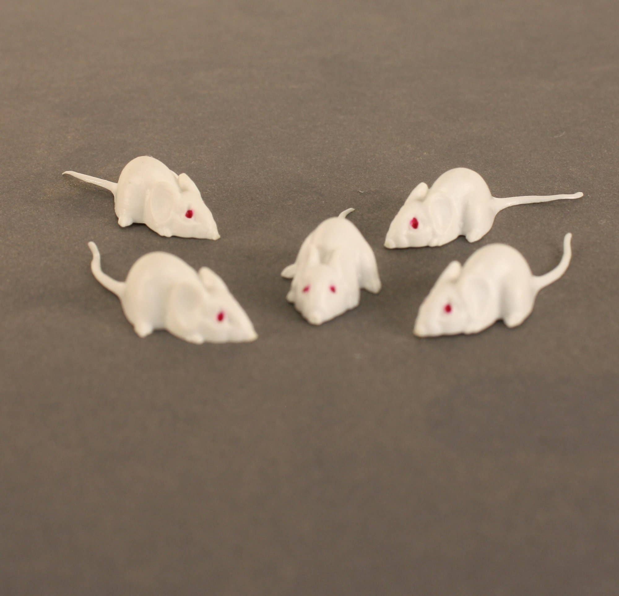 Mice - White Mouse Set - Red Eyes - 1" - 6 Pieces for wholesale on Faire7