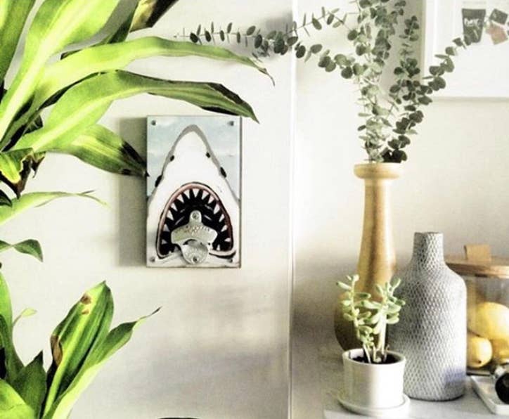 SWEET ART ATTACK - Wholesale Bottle/Wine Opener - Shark Bottle Opener1