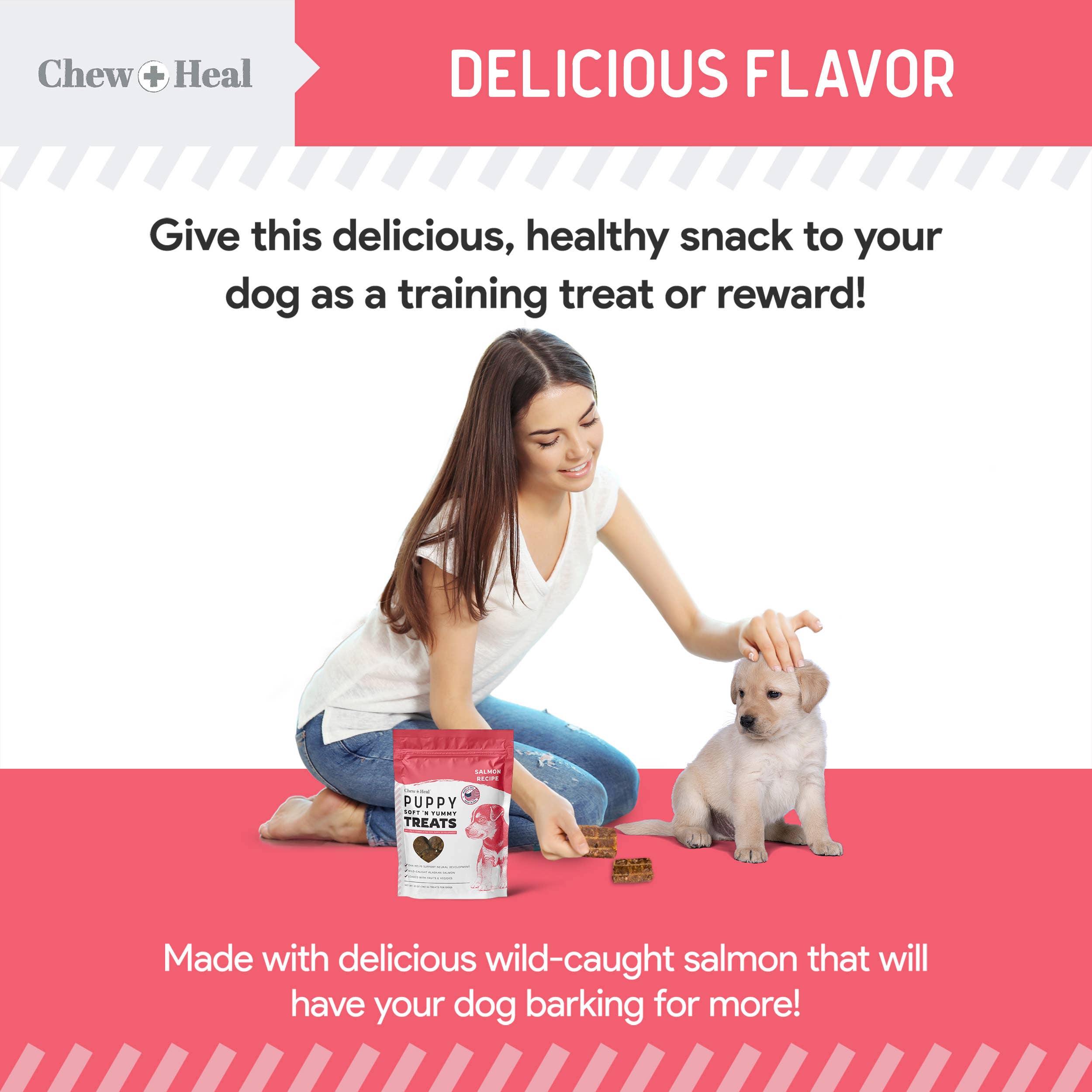 Chew + Heal – Großhandel Leckerlis – Hund – Puppy Wild Alaskan Salmon Limitierte Zutaten Hundesnacks7