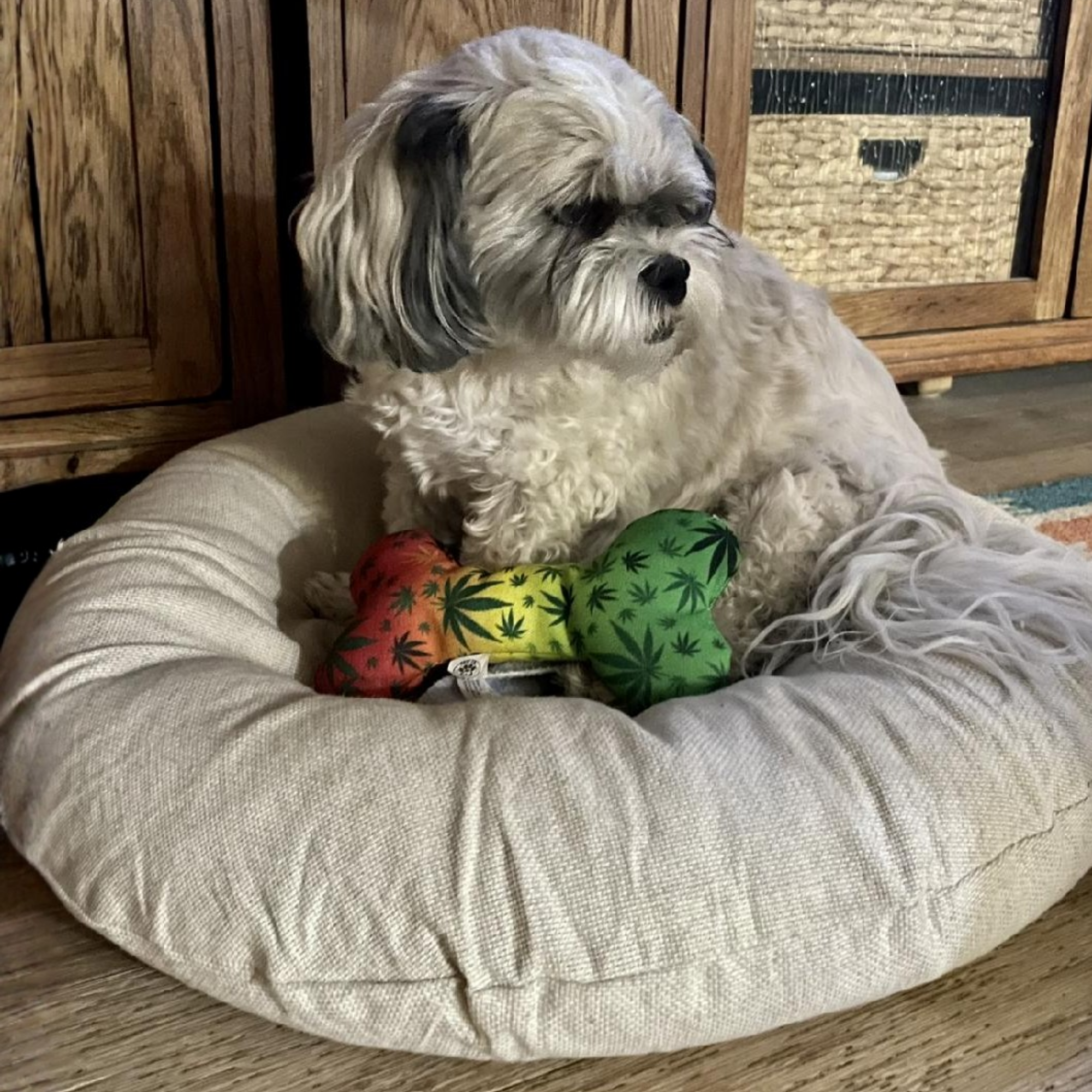 PAW:20 - Wholesale Pet Squeaky Toy - Dog - Stoned to da Bone, Rasta Weed Leaf Patten, 420 Bone Dog Toy6