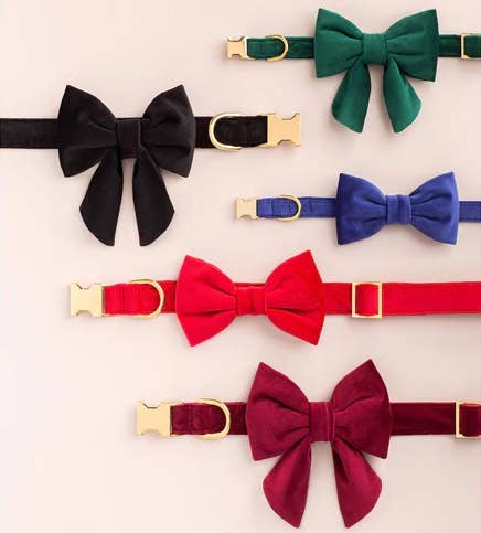 The Foggy Dog - Wholesale Pet Collar - Dog - Black Velvet Dog Collar3