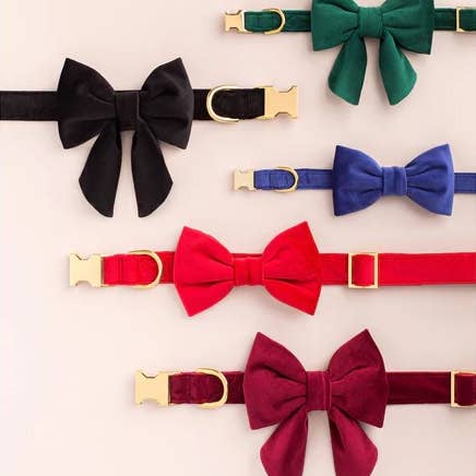 The Foggy Dog - Wholesale Pet collar – Dog - Black Velvet Dog Collar3