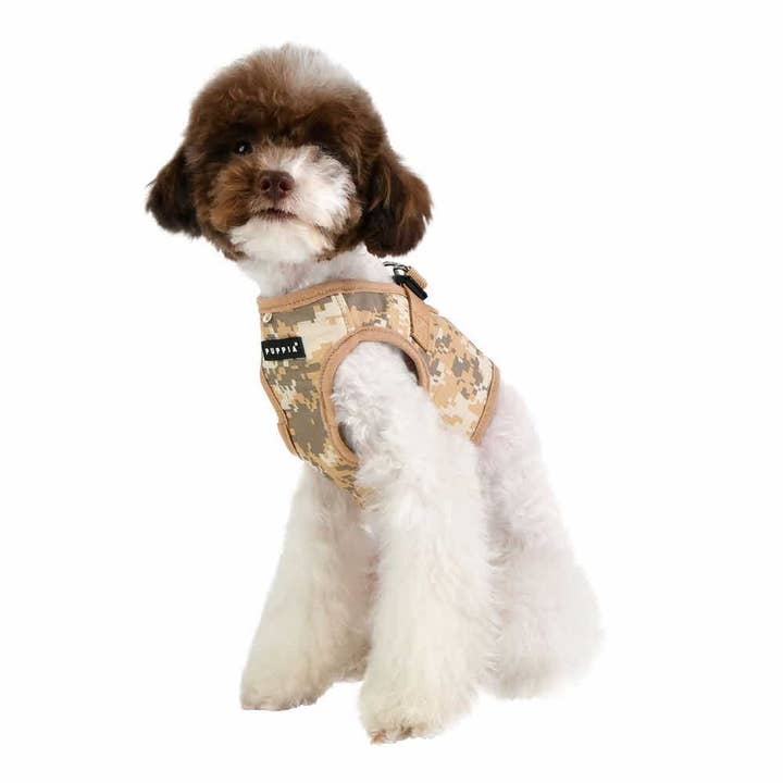 PetLondon - Wholesale Pet Harness - Dog - Puppia Fabric Dog Harness B Shape Bundle-Huge Saving!5