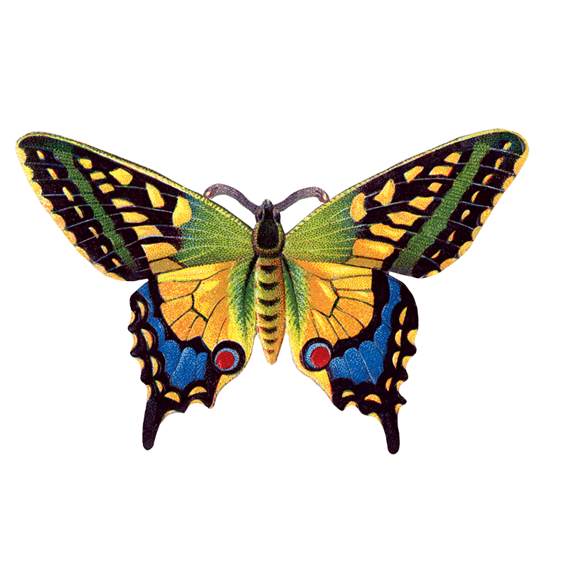 Laughing Elephant – Großhandel Aufkleber – Butterfly Box — Stickerbox für den täglichen Gebrauch13