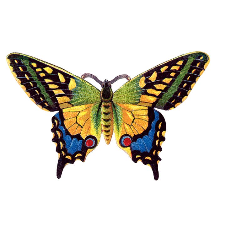 Laughing Elephant - Wholesale Sticker - Butterfly Box - Everyday Sticker Box13