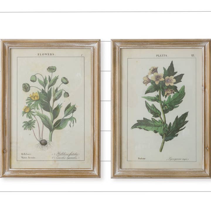 Framed Prints - Yellow Flowers (Pk/02 Ast) for wholesale by Audrey's Home & Gift