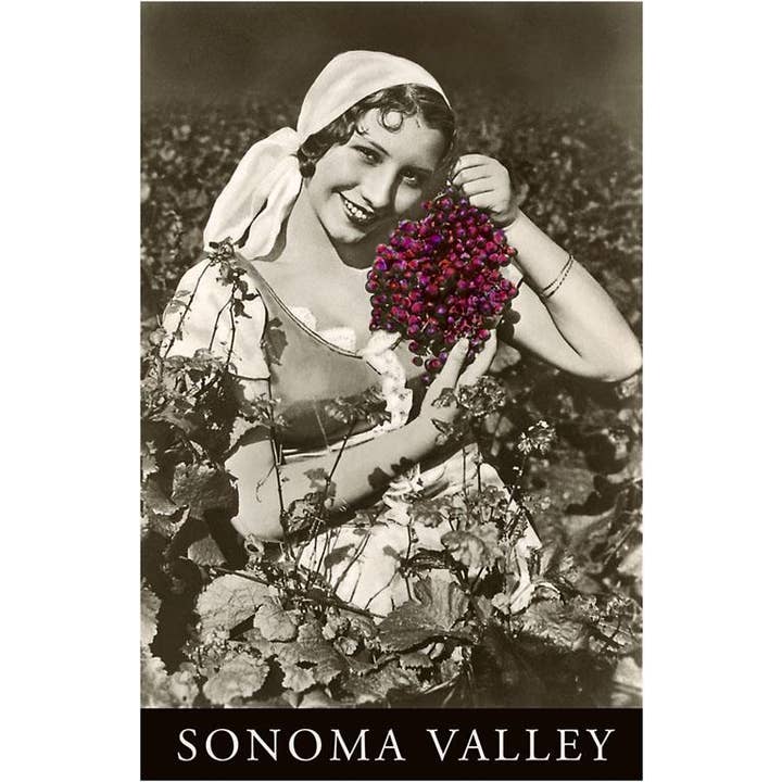Found Image Press - Wholesale Magnet - Magnet CA-1127 Sonoma Valley Woman Holding Grapes