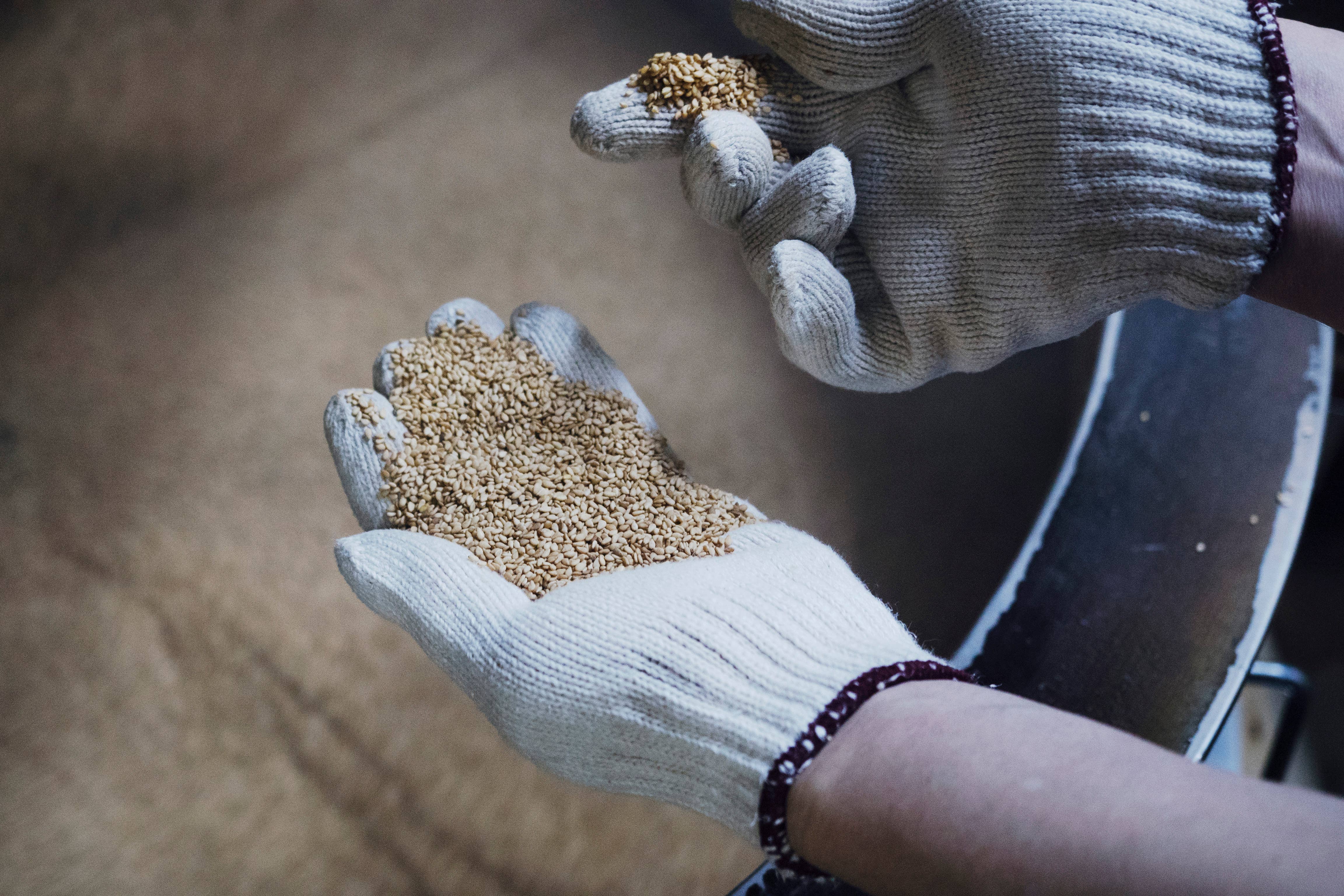 Japan Artisans - Wholesale Cooking Oil - Henko–Roasted White Sesame Oil 140g | Kyoto, Japan4