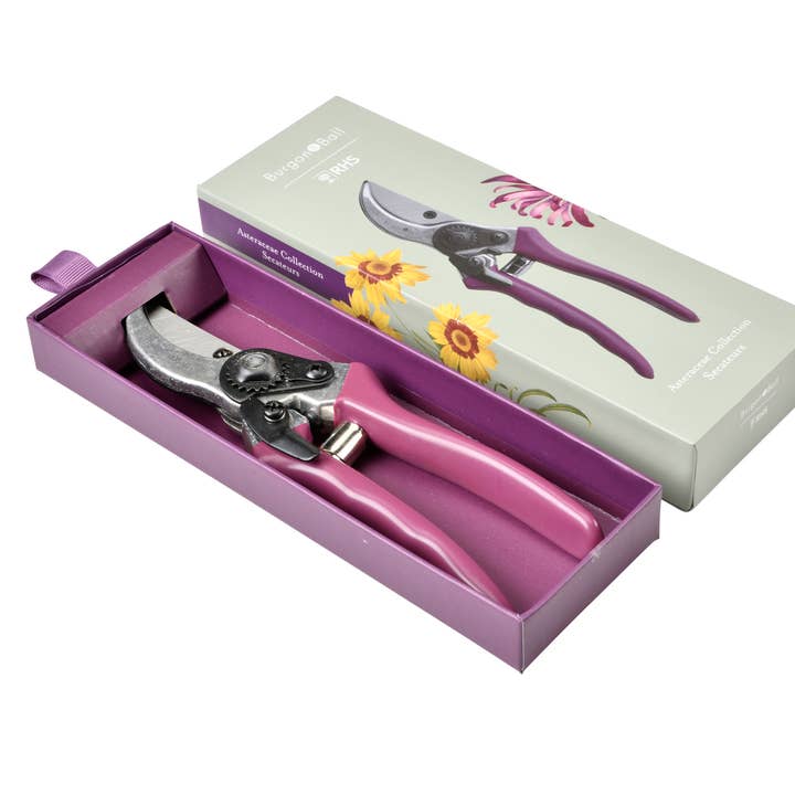 Aster Secateurs for wholesale by Burgon & Ball