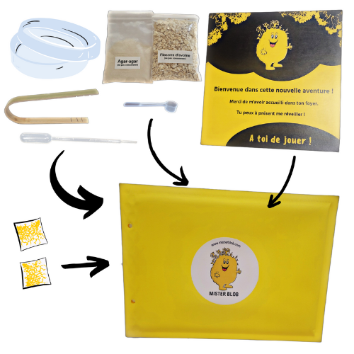 MISTER BLOB - Wholesale DIY Craft Kit - Kids - The eco blob kit1