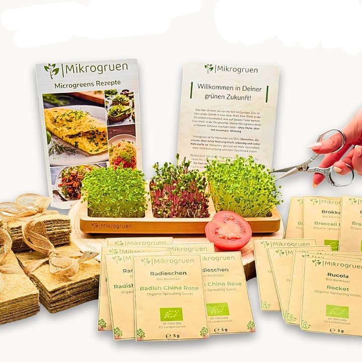 Microgreens odlingsset – Äkta lönnträ – Komplettset med ekologiska frön, hampmattor & receptbok – Hållbart inomhusodlingskit för färska microgreens – Perfekt för kök & fönsterbräda för wholesale av Oasis of Life