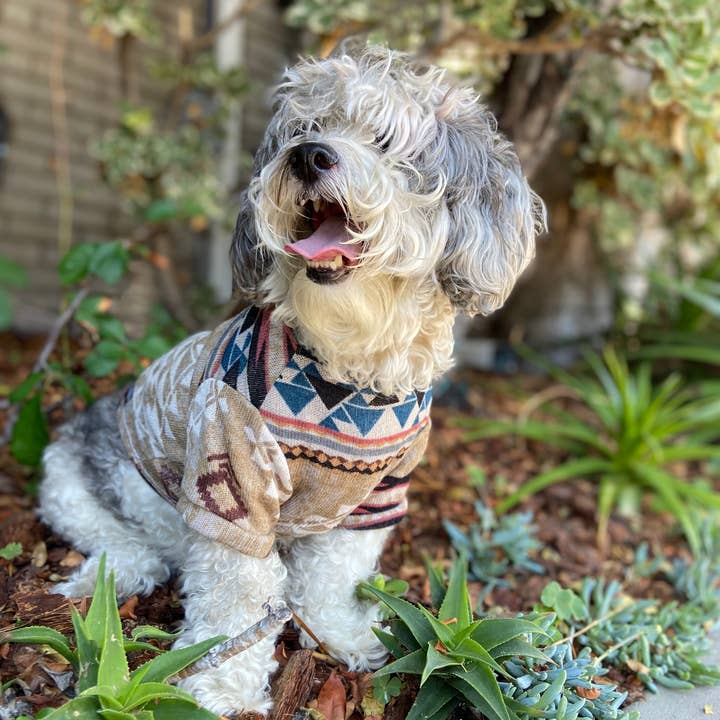 Suéter Yuma Best Furend para venta al por mayor de Wag City Clothing