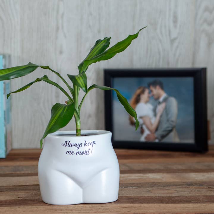 Put Some Plants On - Always Keep Me Moist for wholesale by Boxer Gifts