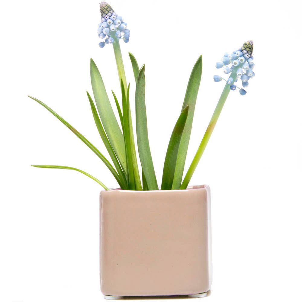 Chive - Wholesale Plant Pot - Svek Succulent Planter For Succulents And Floral Frogs11
