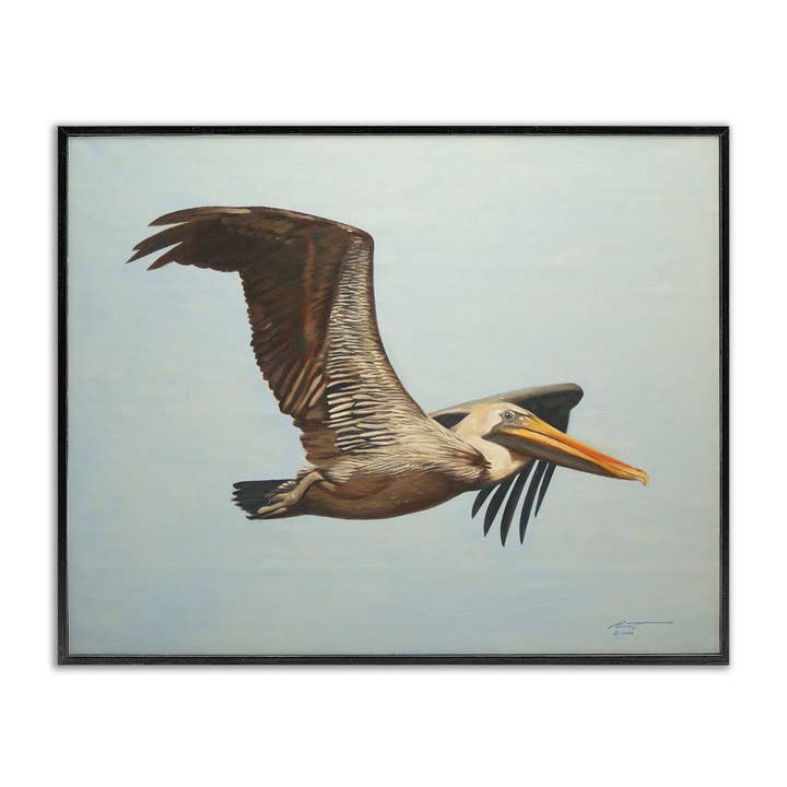 Arte de Parede emoldurada - Pelicano-pardo em voo por atacado de Stupell Industries