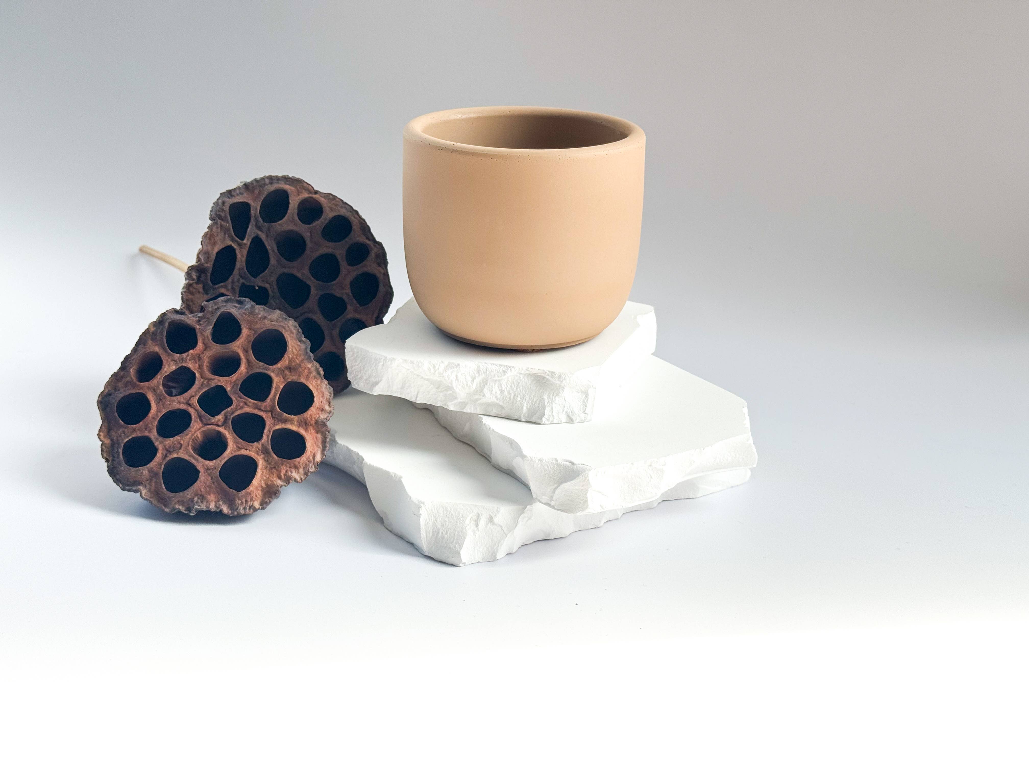 Tavv Inc - Wholesale Candle Holder - Concrete,Tulip shape Candle Vessel, 8oz9