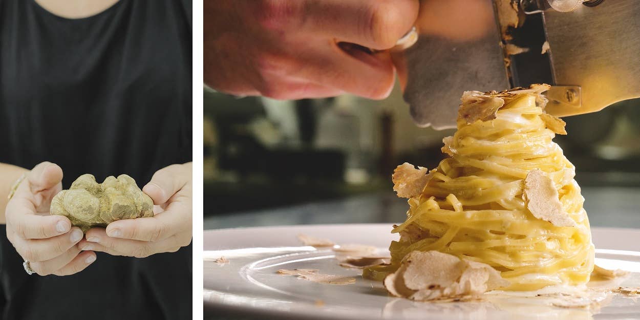 Stefania Calugi Tartufi – wholesale Pasta – Campofilone tagliolini med tryffel2