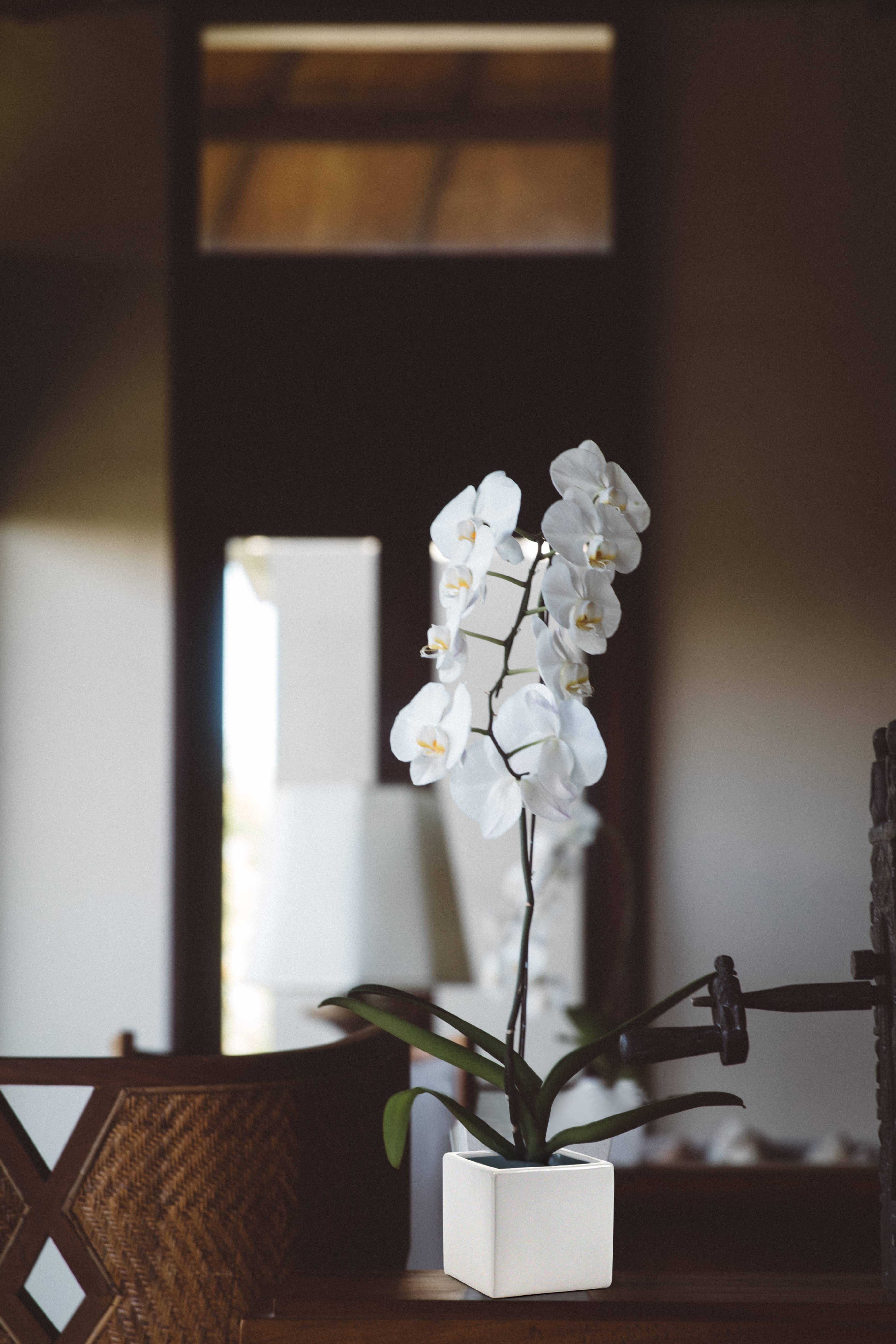 WGV International - Wholesale Vase - WGV White Glossy Ceramic Square Cube - 3.75"H5