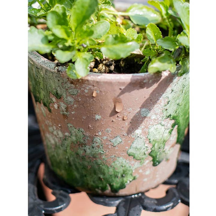 Rustic Reach - Wholesale Plant Pot - Colorful Terracotta Pot