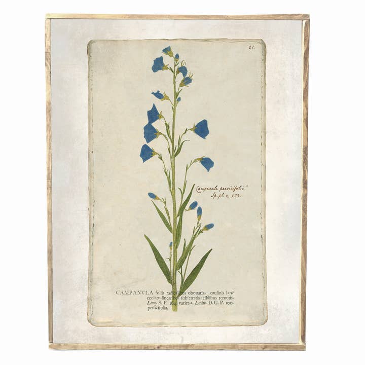 Vintage Spring blue floral print, Wall Decor for wholesale by Graphically Speaking Design