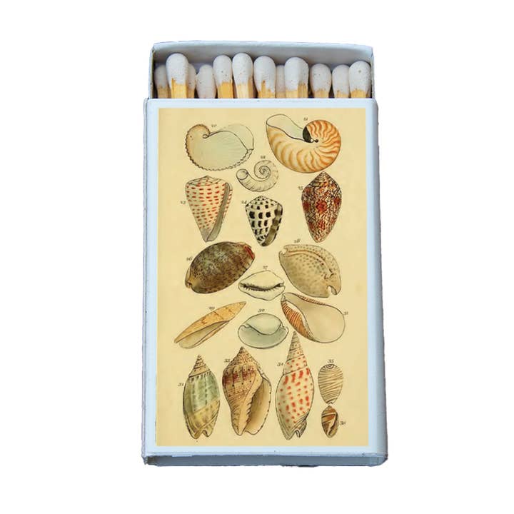 Shells Variety2 Matchbox • Candle Acc • Decorative Matches for wholesale by Most Amazing