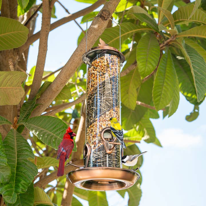 Nature Anywhere - Wholesale Bird Feeder - Spiral Feeder 2-in-1 Tube Feeder1