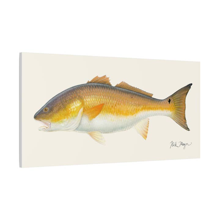 Impression sur toile de gros tambour rouge pour la vente par Nick Mayer Art