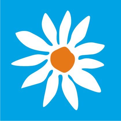 Calloway Mills - Wholesale Door Mat - Interchangeable Insert for 17" x 41" Rubber Monogram Doormat28